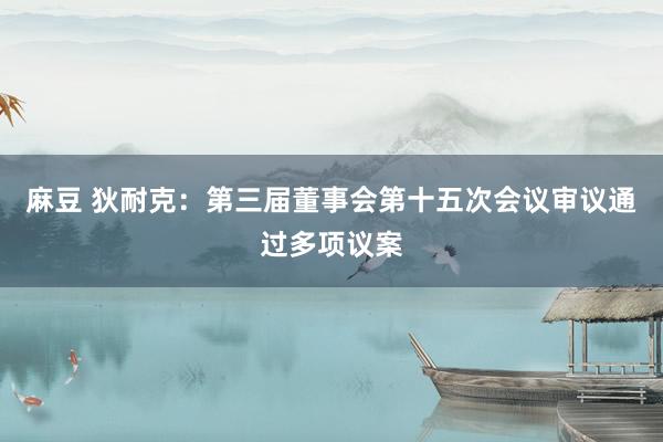 麻豆 狄耐克：第三届董事会第十五次会议审议通过多项议案
