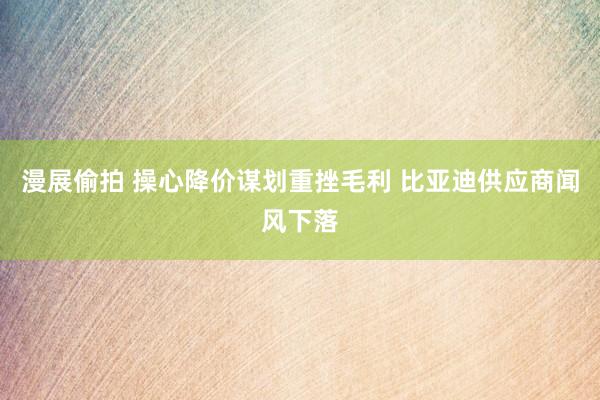漫展偷拍 操心降价谋划重挫毛利 比亚迪供应商闻风下落