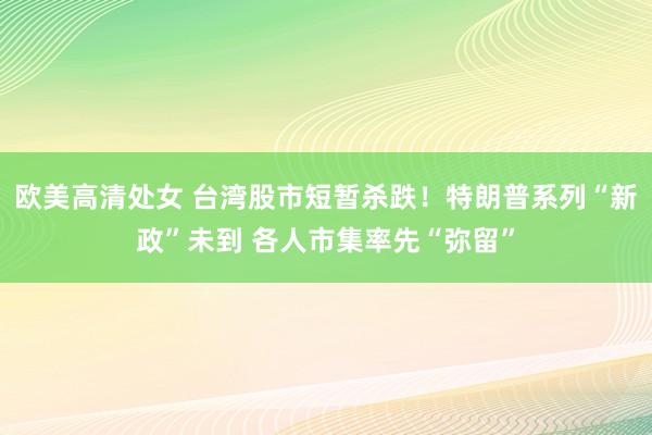 欧美高清处女 台湾股市短暂杀跌！特朗普系列“新政”未到 各人市集率先“弥留”