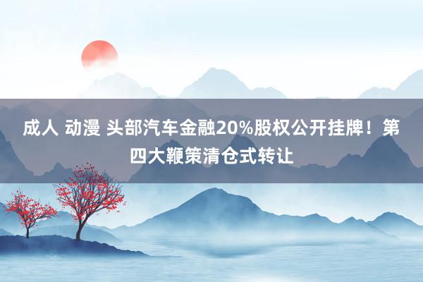 成人 动漫 头部汽车金融20%股权公开挂牌！第四大鞭策清仓式转让