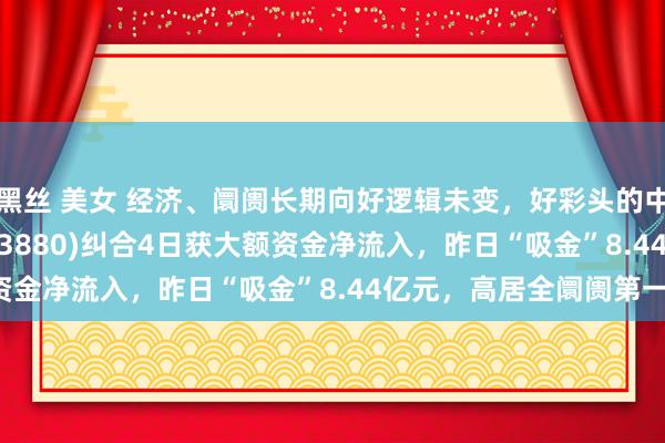 黑丝 美女 经济、阛阓长期向好逻辑未变，好彩头的中证A500指数ETF(563880)纠合4日获大额资金净流入，昨日“吸金”8.44亿元，高居全阛阓第一！