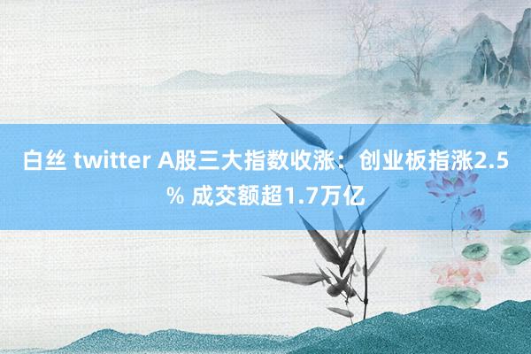 白丝 twitter A股三大指数收涨：创业板指涨2.5% 成交额超1.7万亿