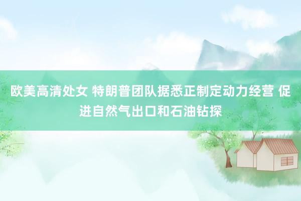 欧美高清处女 特朗普团队据悉正制定动力经营 促进自然气出口和石油钻探