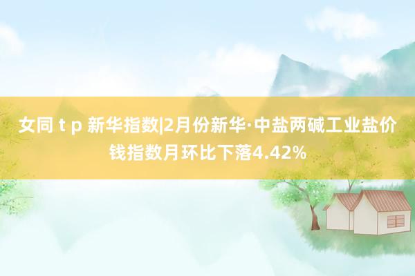 女同 t p 新华指数|2月份新华·中盐两碱工业盐价钱指数月环比下落4.42%