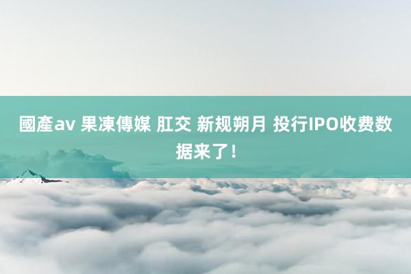 國產av 果凍傳媒 肛交 新规朔月 投行IPO收费数据来了！