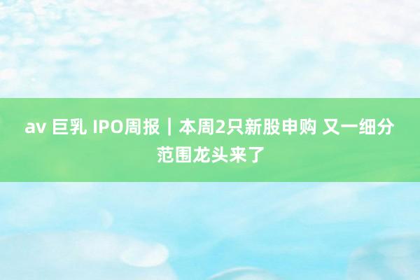 av 巨乳 IPO周报｜本周2只新股申购 又一细分范围龙头来了